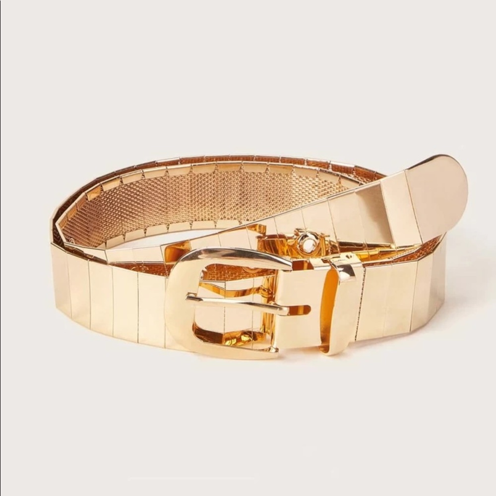 Metal Gold Tone Chain Belt NWT